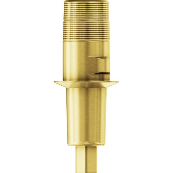 AN1877 DUAL SISTEM D4.1 H1